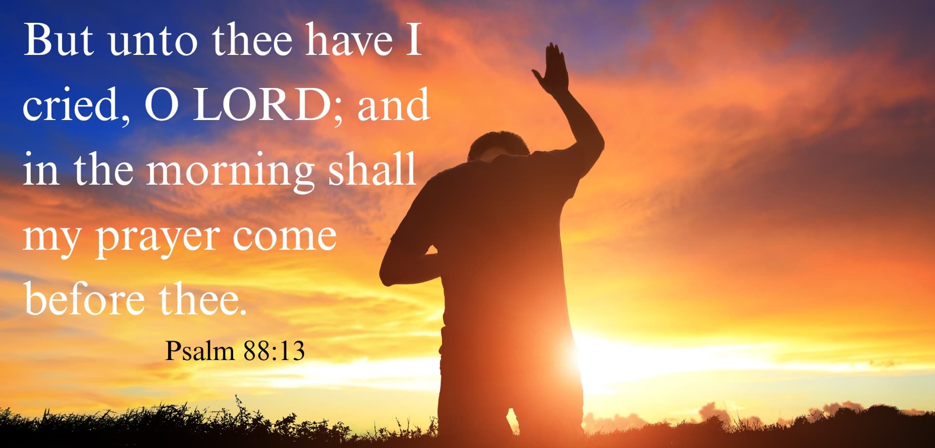 Psalm 88 verse 13