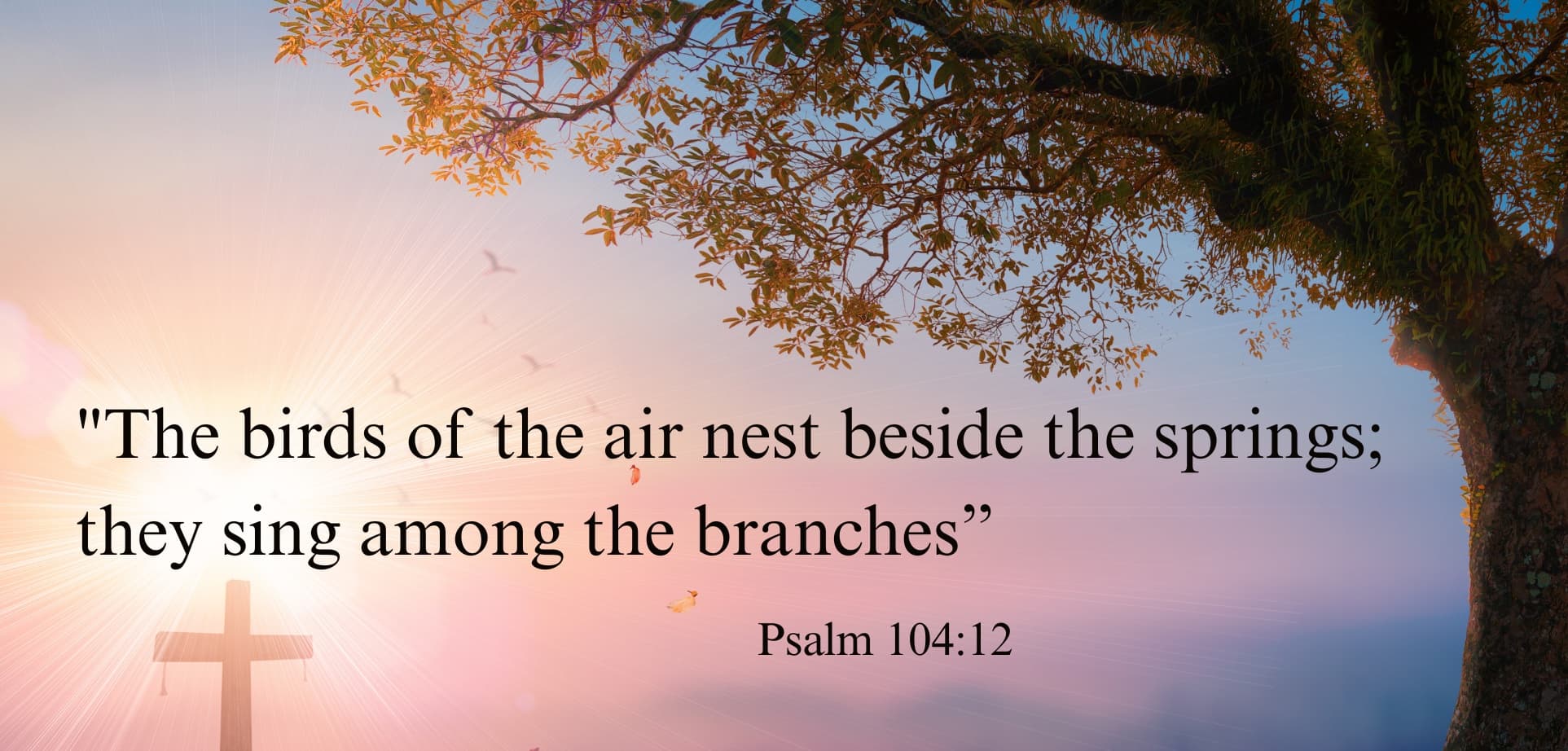 Psalm 104 verse 12